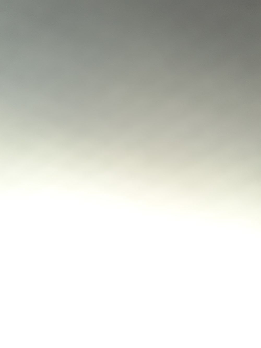 balkan_panzer OnlyFans profile picture