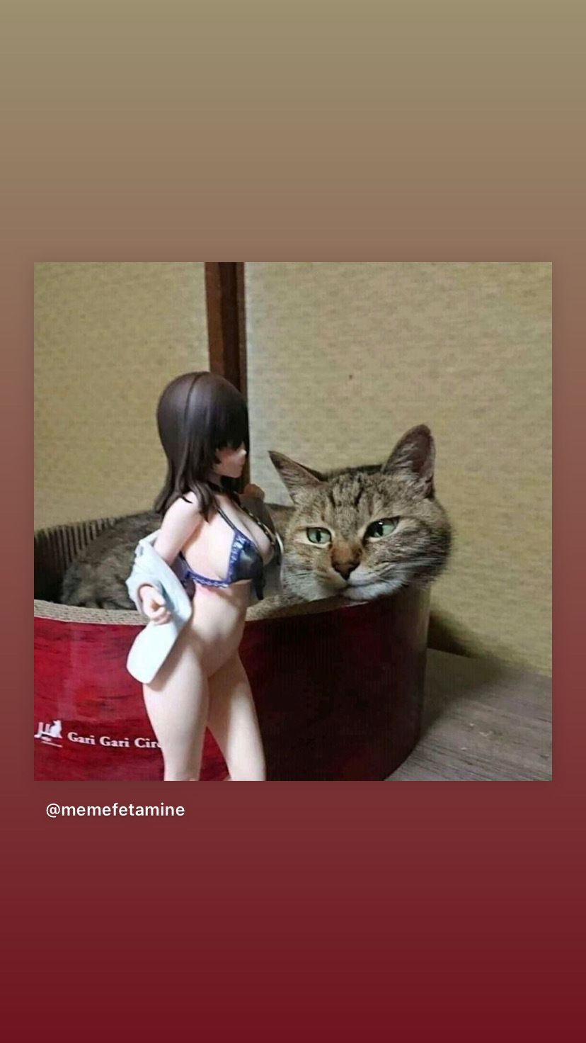 lilithspetbunny OnlyFans profile picture