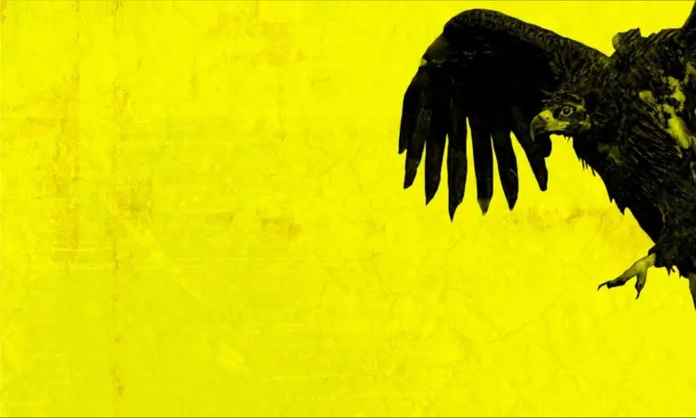 clikkiegal OnlyFans profile picture