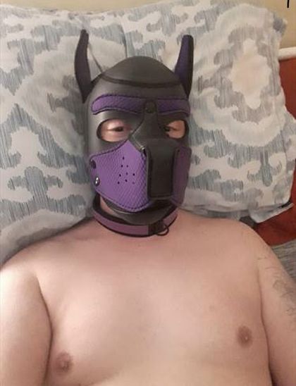 pupnico94 OnlyFans picture