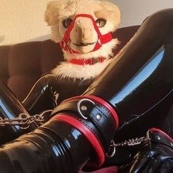 sergnderg OnlyFans picture