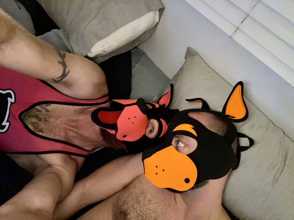 pupflip OnlyFans profile picture