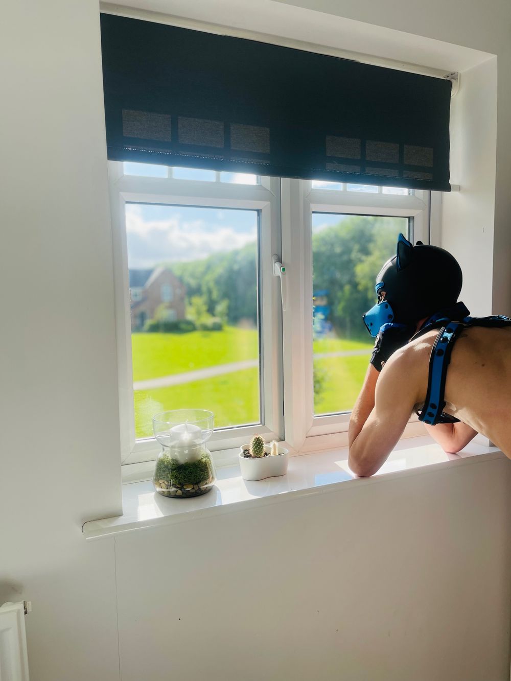 kaipup22 OnlyFans profile picture