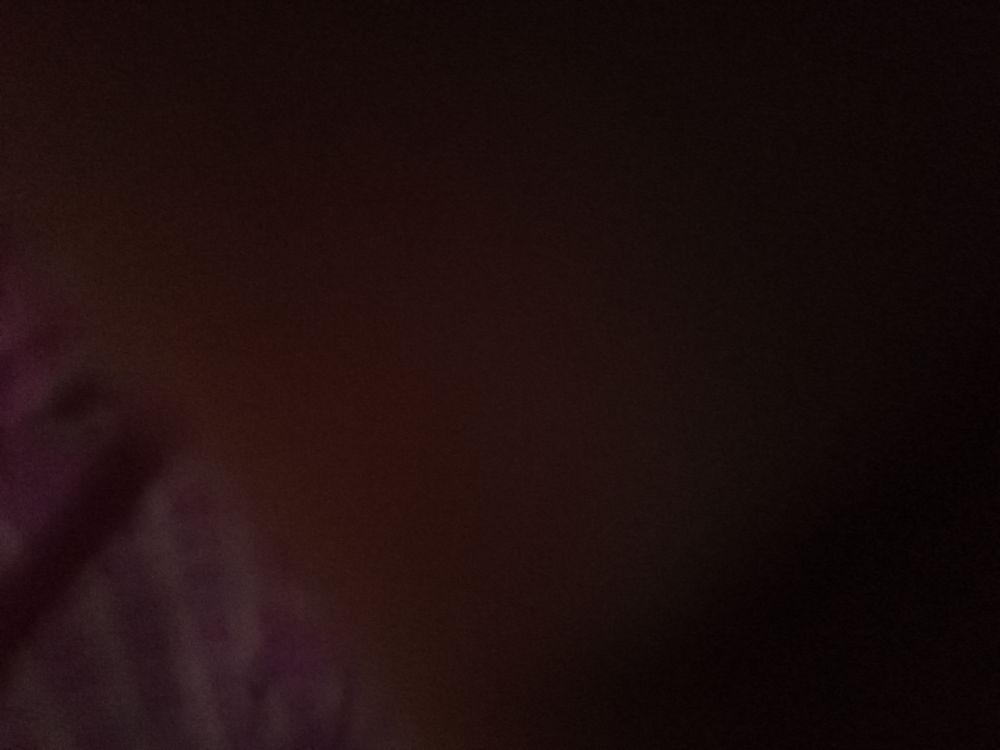 babymien OnlyFans profile picture