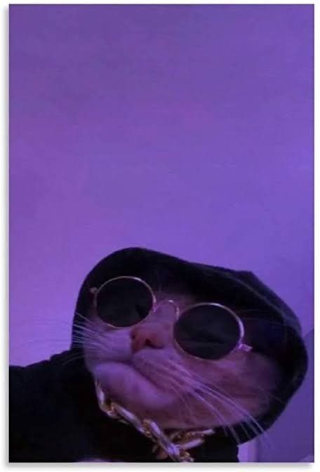 missmonn OnlyFans profile picture
