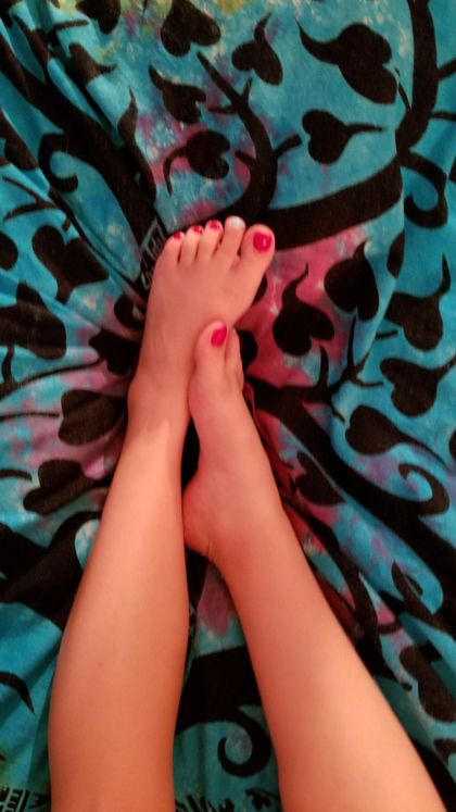 piggelywigglies OnlyFans picture