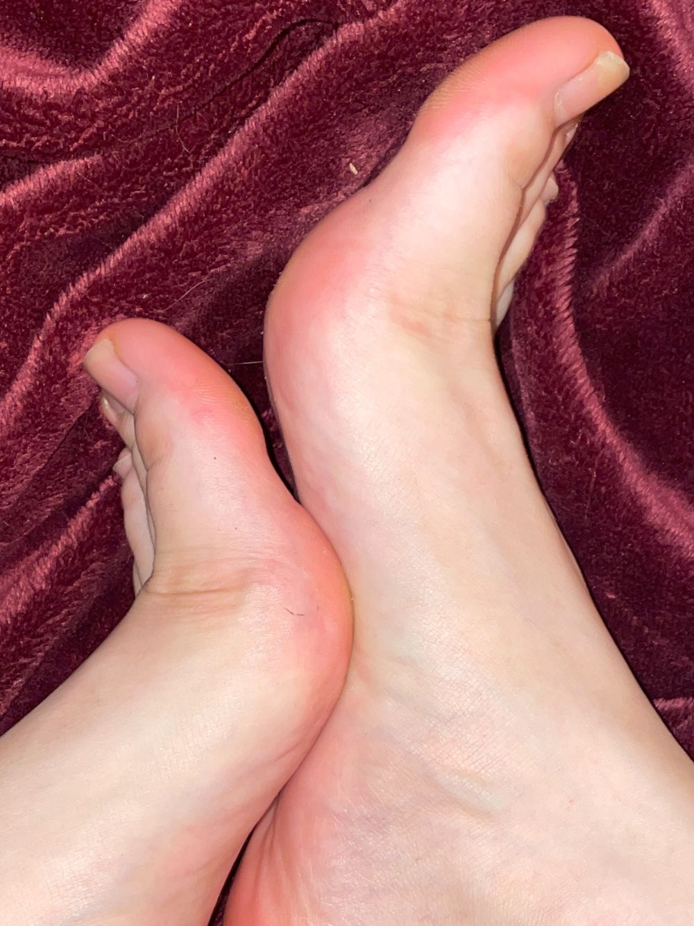 girlsclubfeetedition OnlyFans profile picture