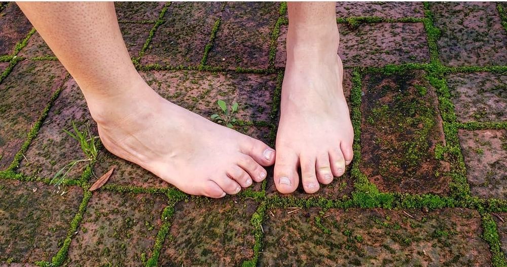 roller_toes OnlyFans profile picture