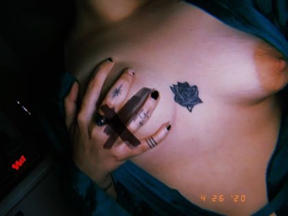 catandbean OnlyFans picture