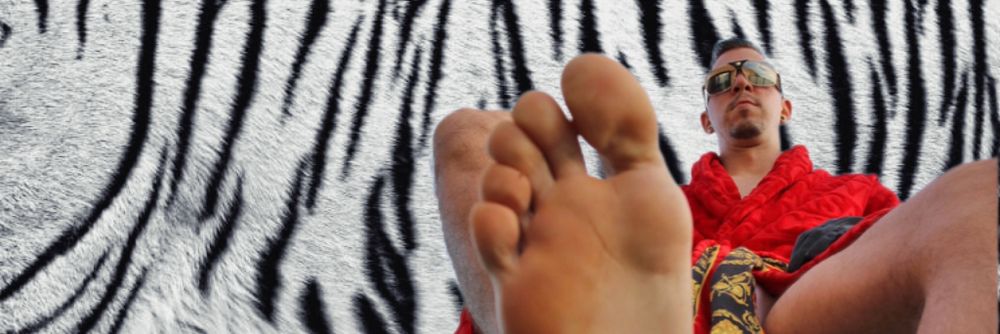 whitetigerspaws OnlyFans profile picture