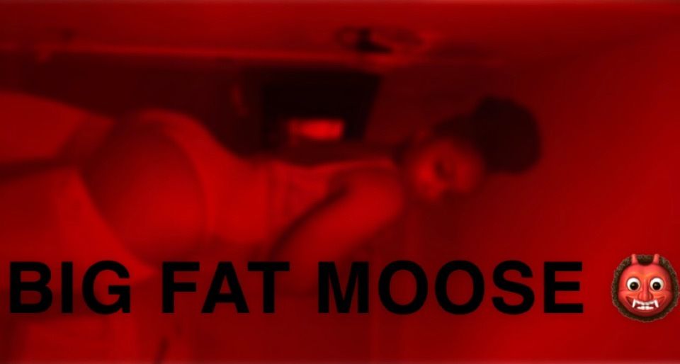 bigfatmoose OnlyFans profile picture