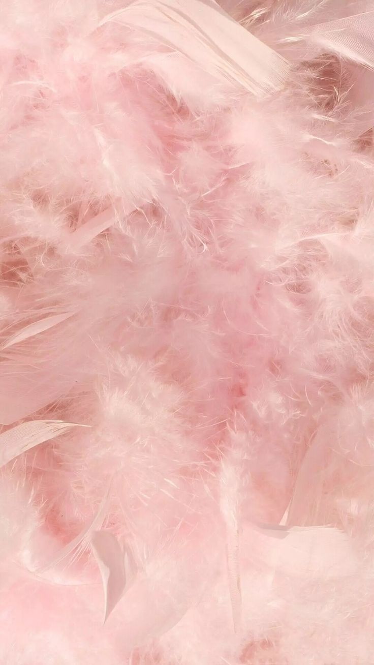 xxxbombon OnlyFans profile picture