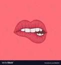 meglove30 OnlyFans profile picture