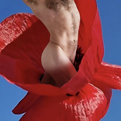 masculinarts OnlyFans picture