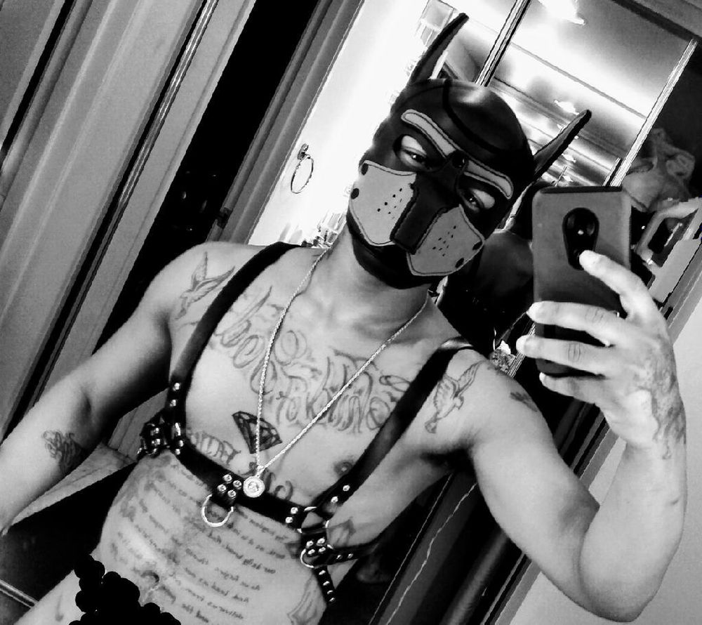 tommirage7 OnlyFans profile picture