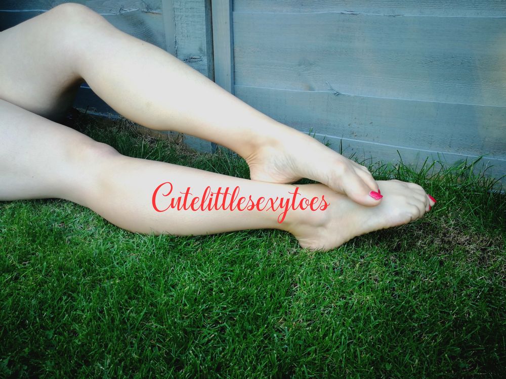 cute.little.sexy.toes OnlyFans profile picture