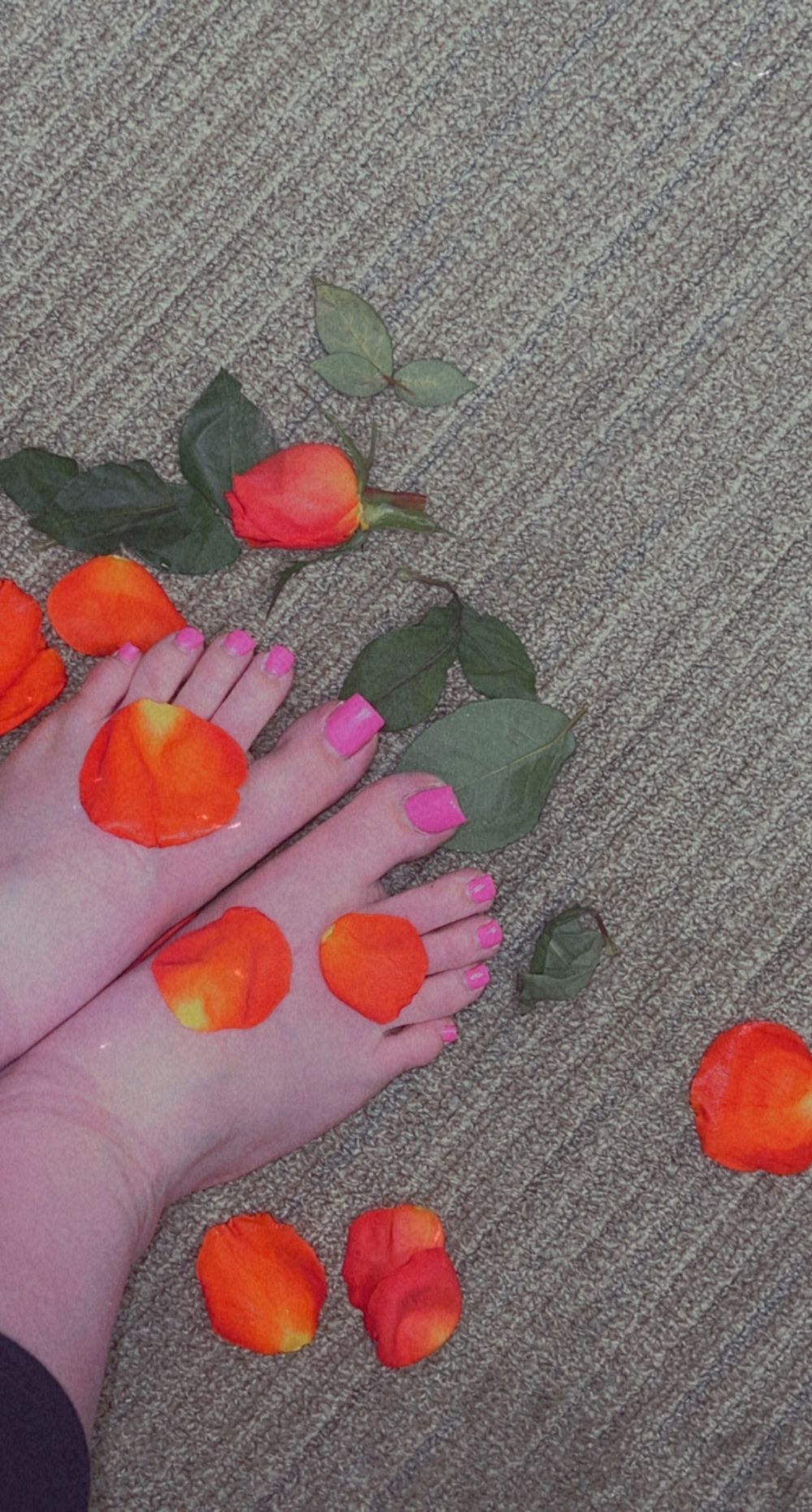 mzqueenprettifeet OnlyFans profile picture