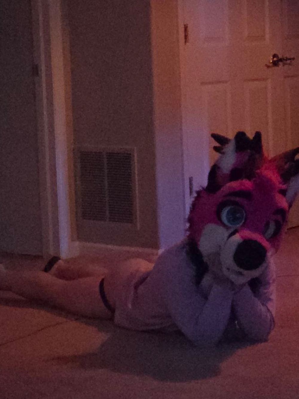 nickithedeer OnlyFans profile picture