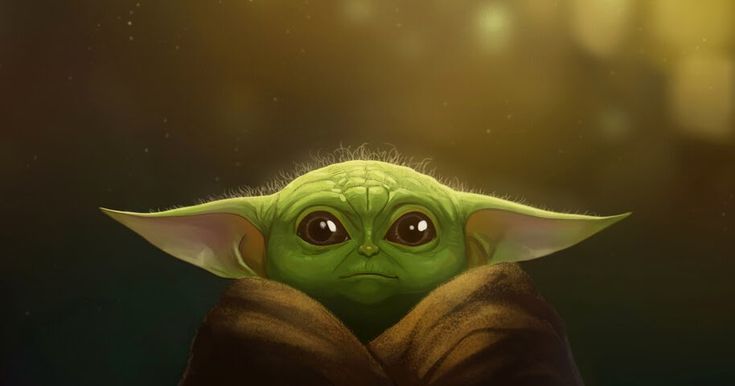 heyturtleturtle OnlyFans profile picture