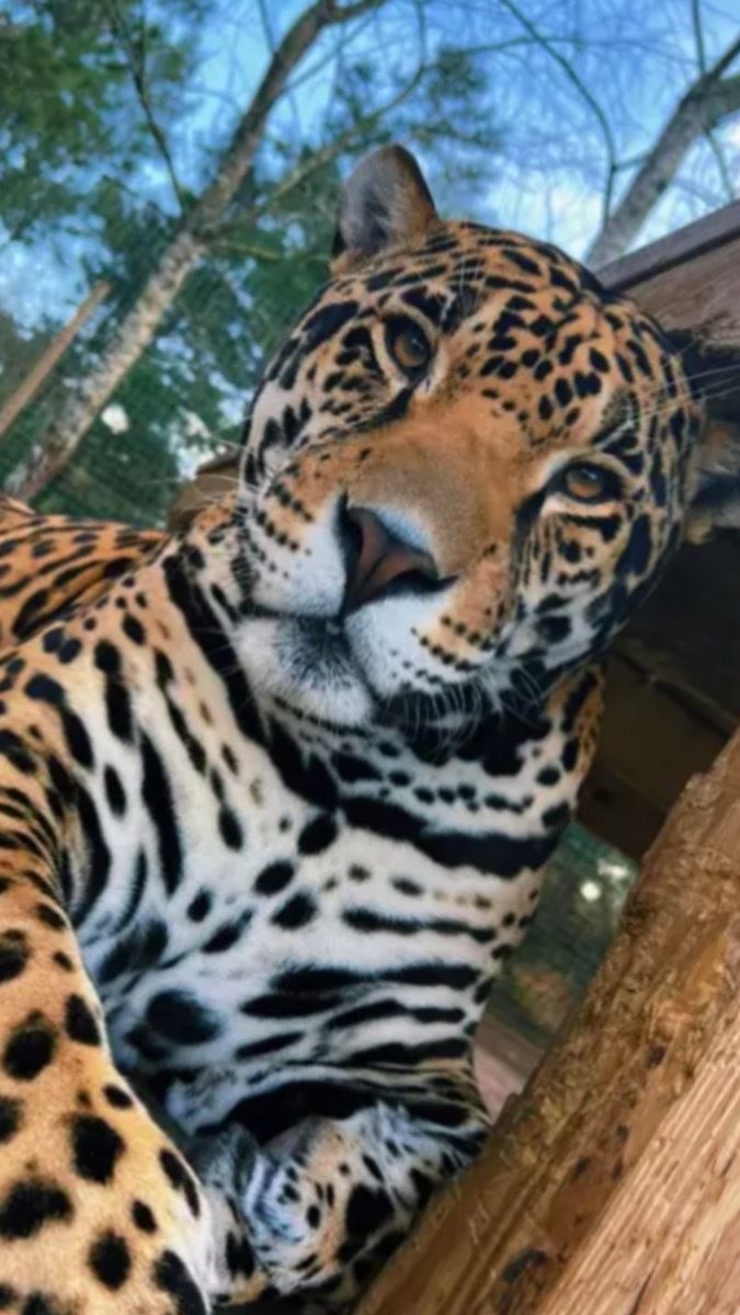 maridashtt OnlyFans profile picture