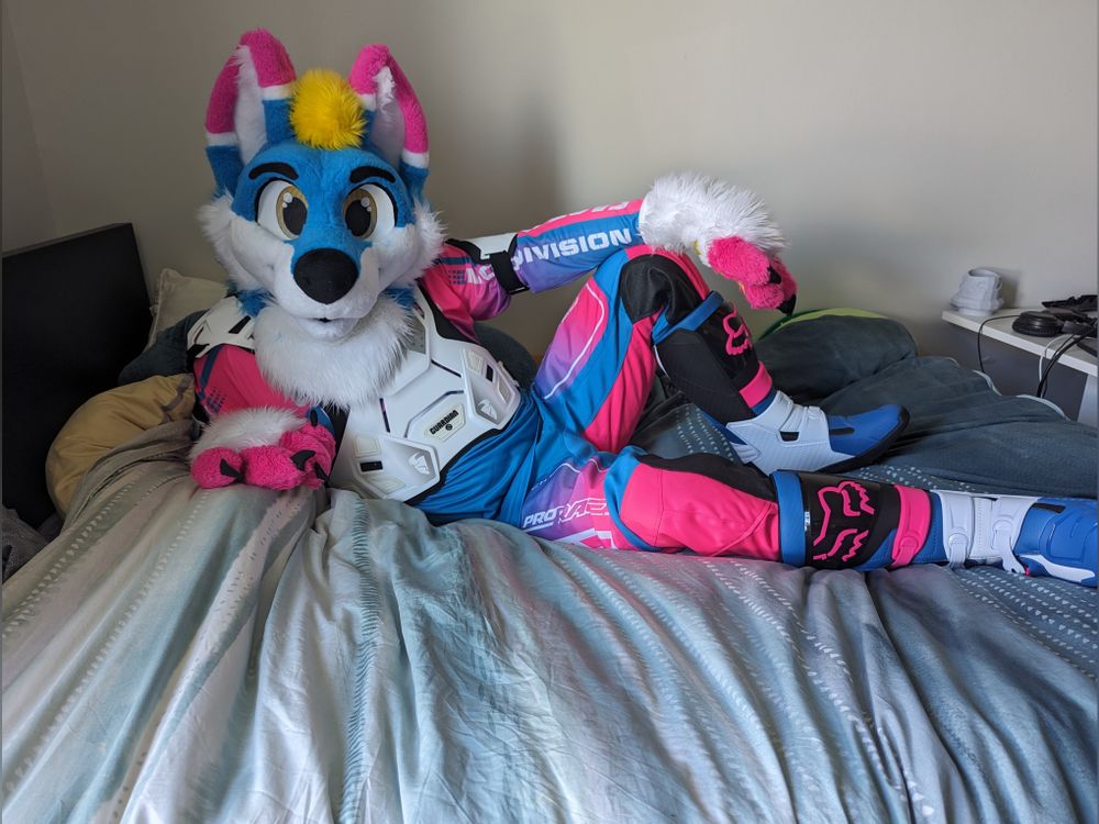 melldog OnlyFans profile picture