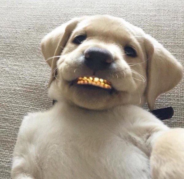 gmoney6997 OnlyFans profile picture