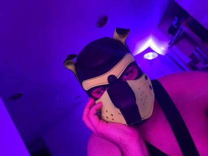 puppydecibel OnlyFans picture