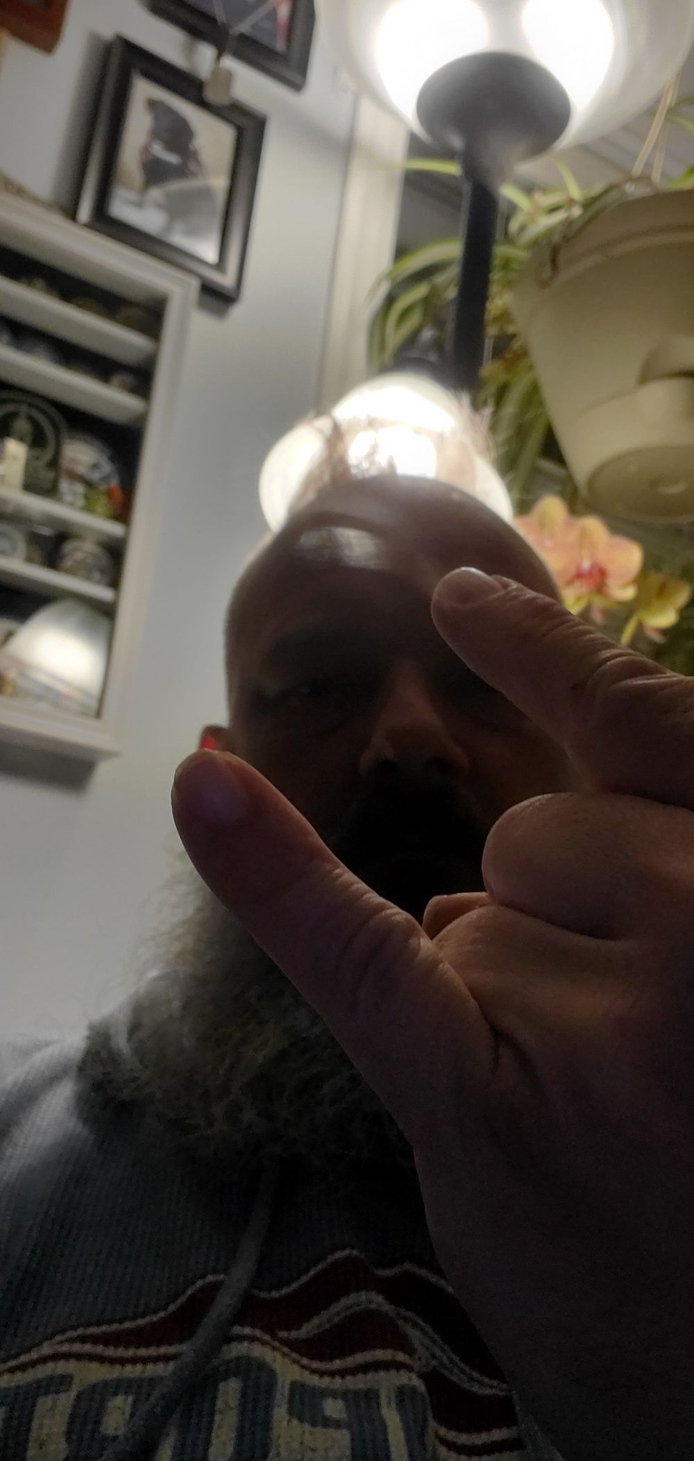 ianinilm OnlyFans profile picture