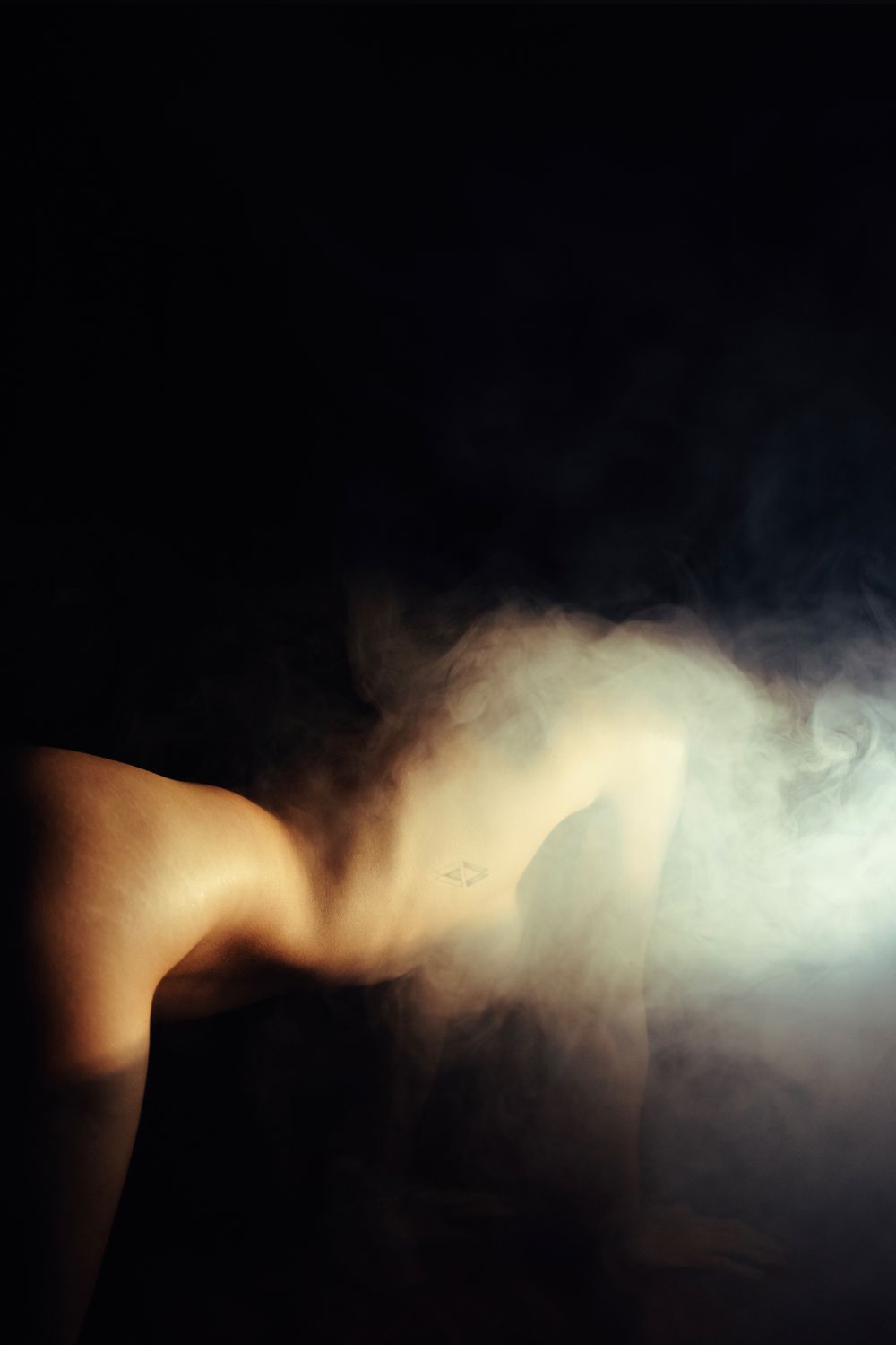 petitarbre OnlyFans profile picture