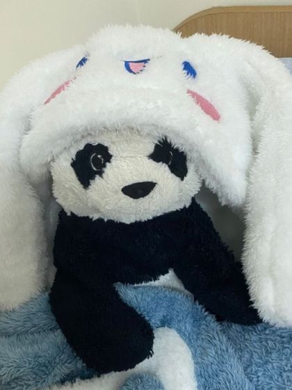 ireallylikepandas OnlyFans picture
