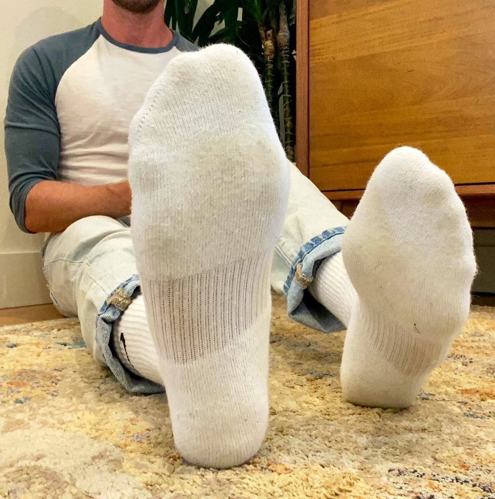 socksinseatown OnlyFans profile picture