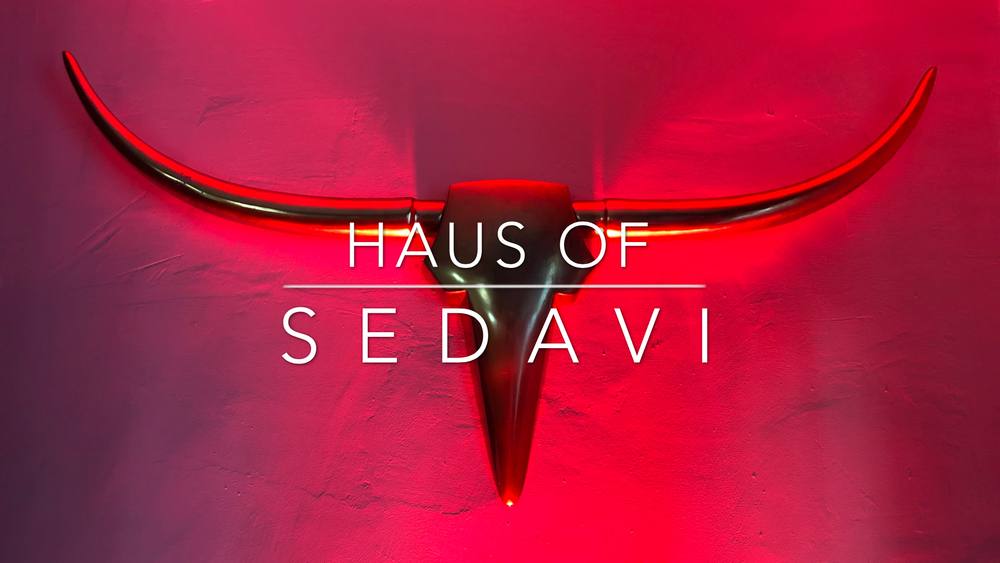 hausofsedavi OnlyFans profile picture