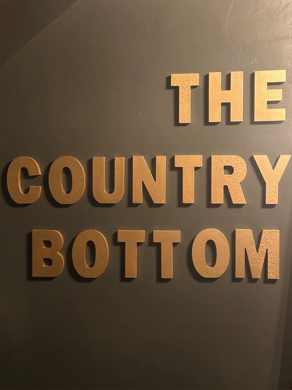 thecountrybottom OnlyFans profile picture