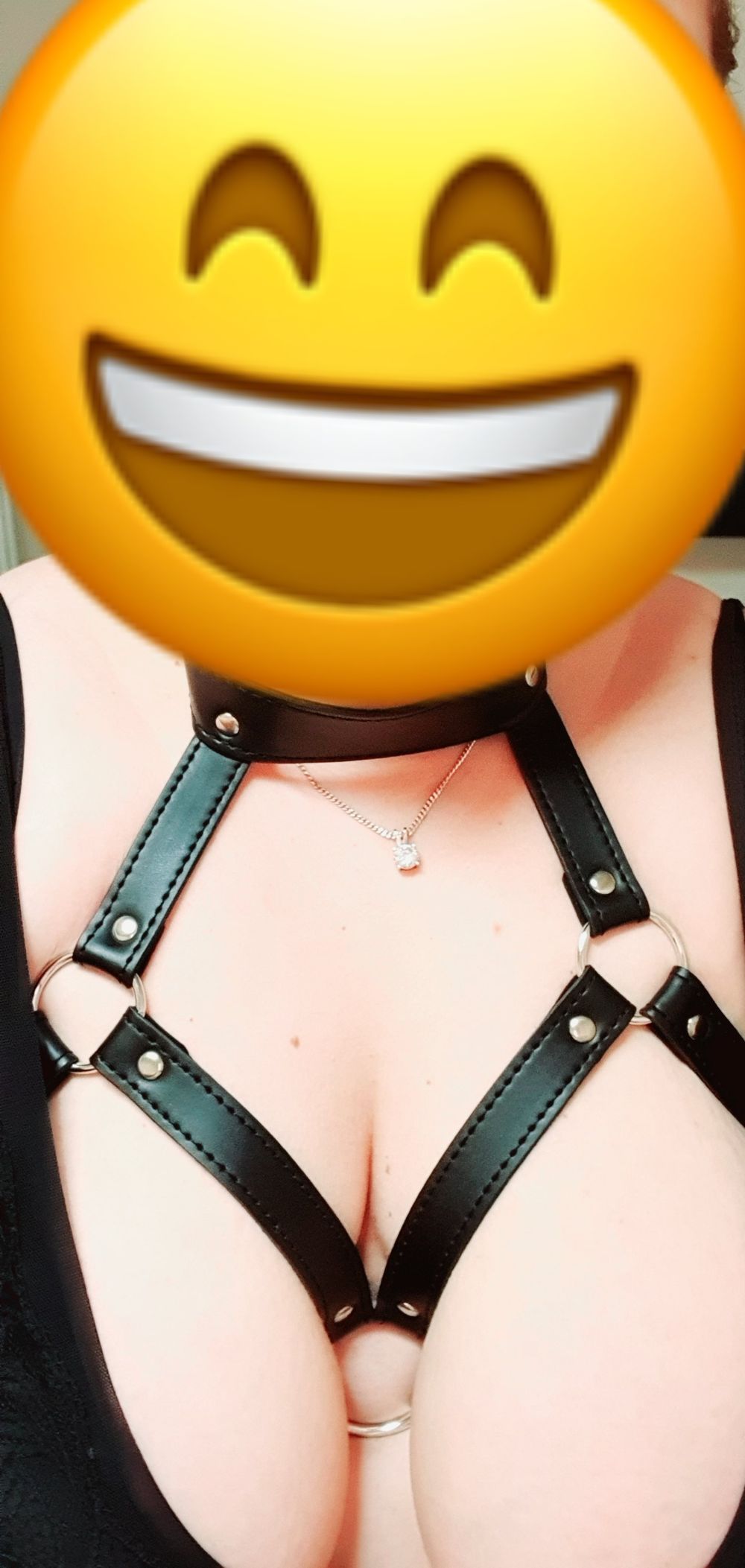 u21531725 OnlyFans profile picture