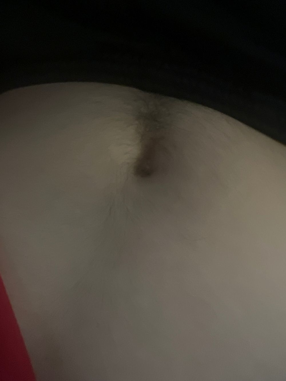 secretguy666 OnlyFans profile picture