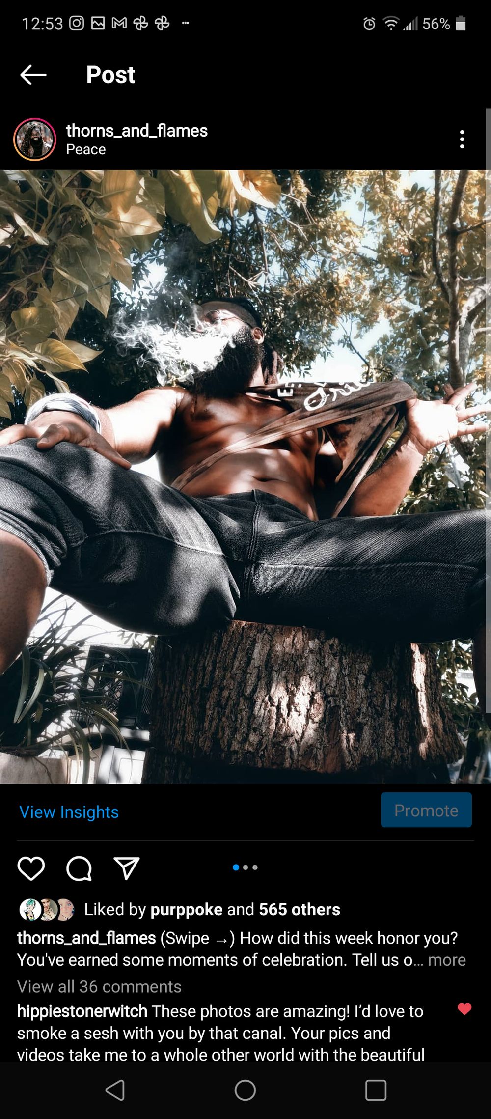 thornsandflamesfree OnlyFans profile picture