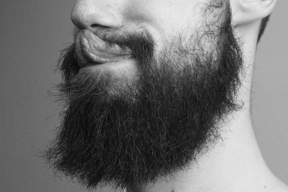 misterarie OnlyFans profile picture