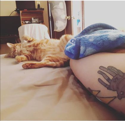 prrprrmiawmiaw OnlyFans picture