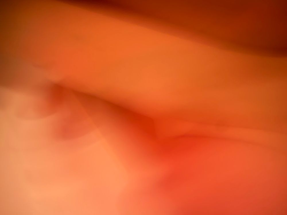 sophiaroman OnlyFans profile picture