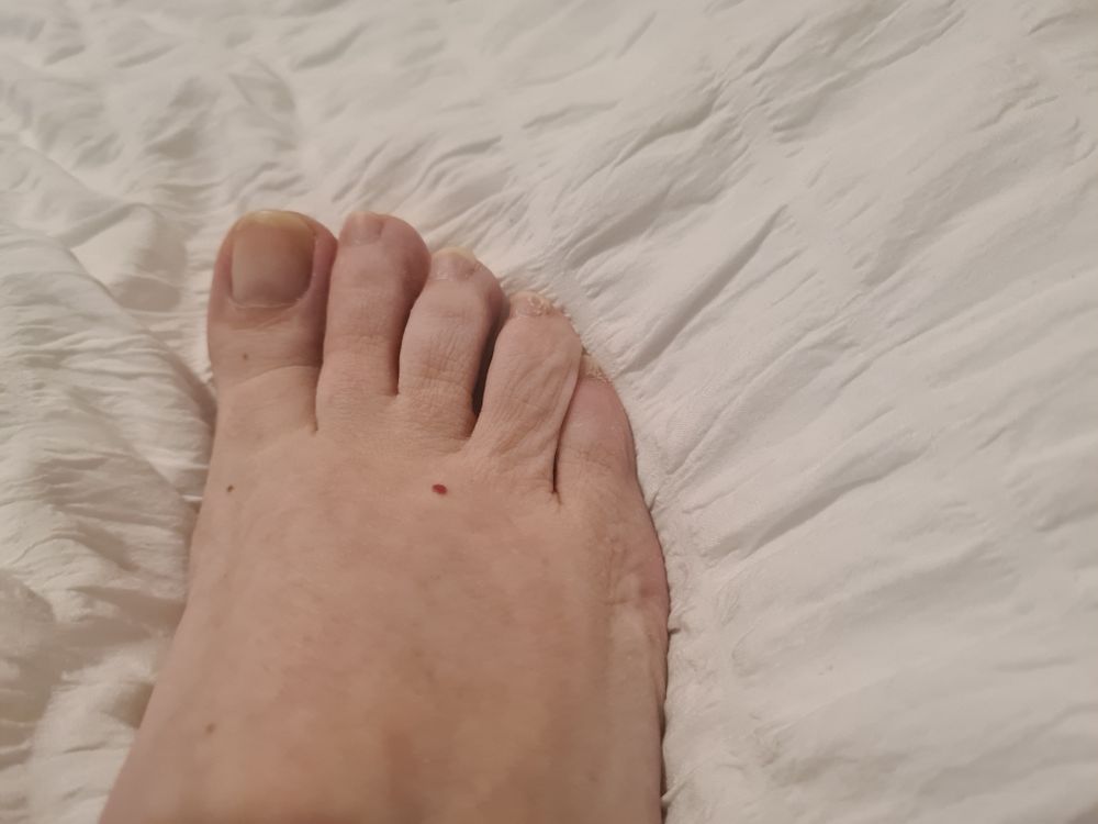 u228086712 OnlyFans profile picture