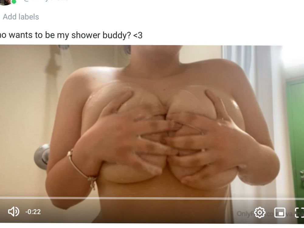 curvyevaxo OnlyFans profile picture