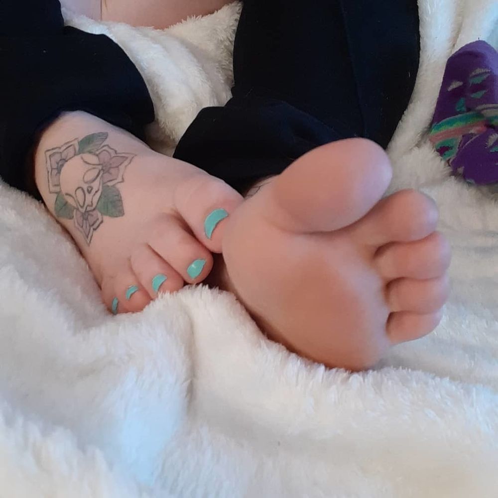 kittietoes375 OnlyFans profile picture