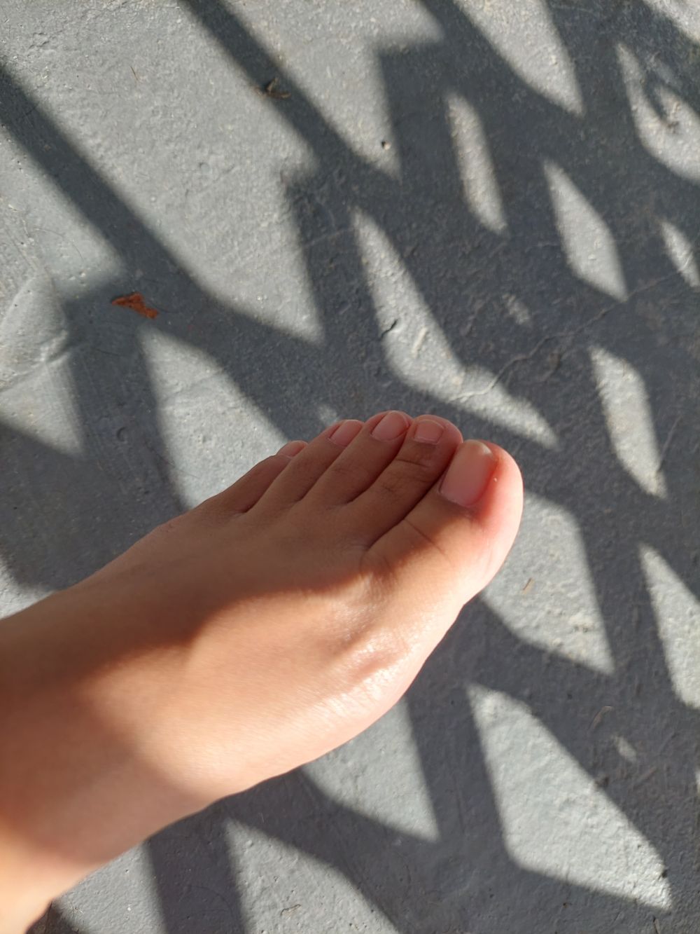 catasgodlyfeet OnlyFans profile picture