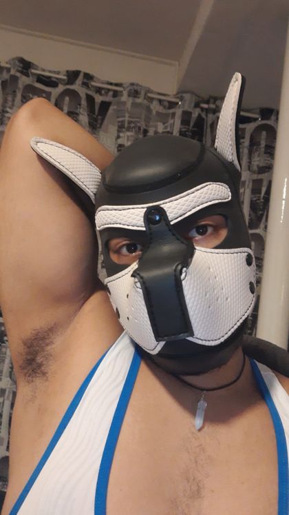 braziliandutchy OnlyFans picture