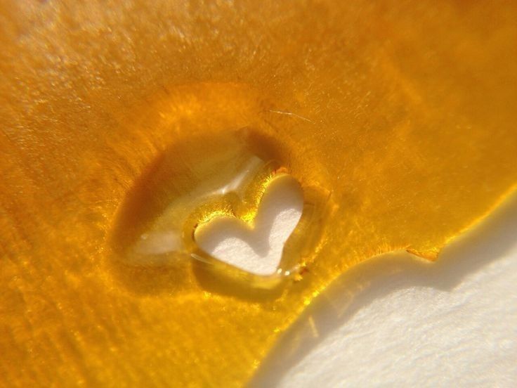 honeycomb32 OnlyFans profile picture