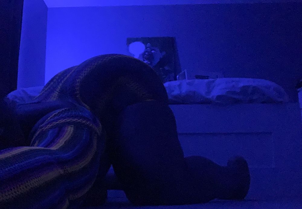 deepseababy OnlyFans profile picture
