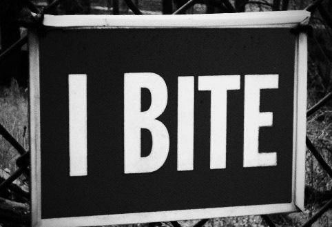 lovesanctuary OnlyFans - Stats, Graphs, Photos & Profile Comparisons