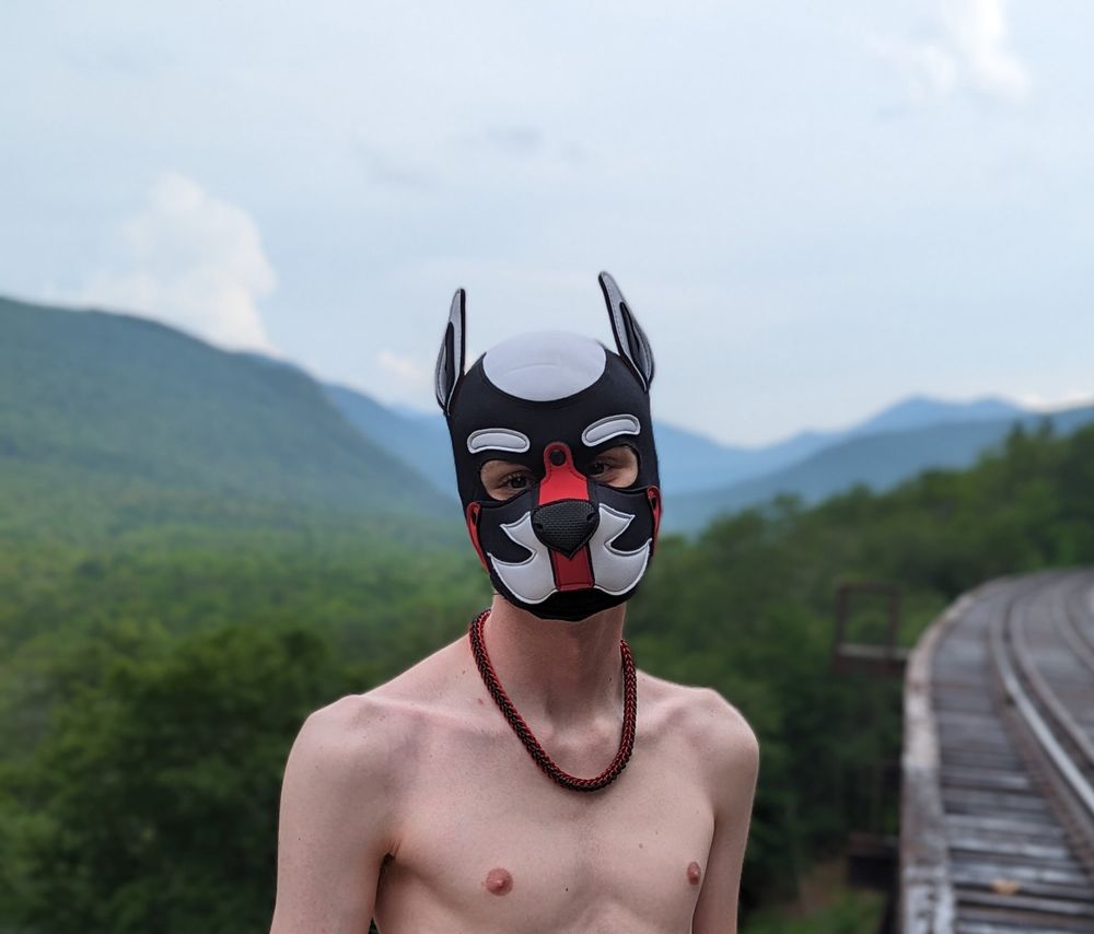 ryansnowxxx OnlyFans profile picture