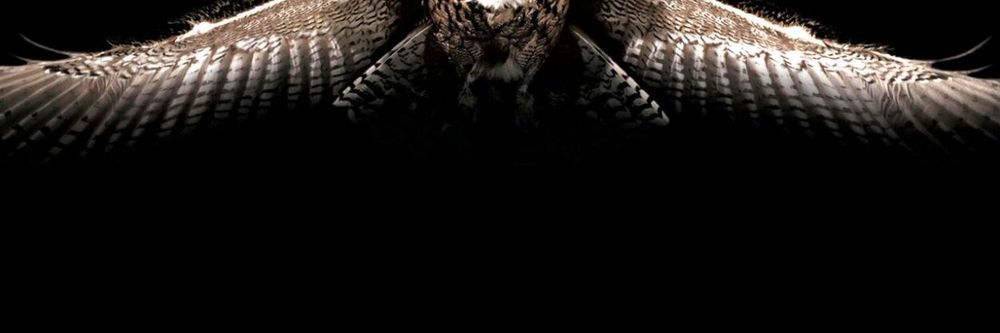 wikasaol OnlyFans profile picture