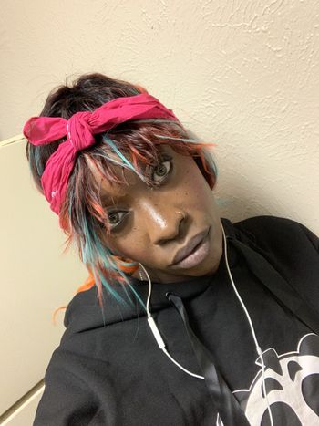 Haitian Bunny KT